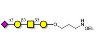 Stage-Specific Embryonic Antigen-4 tetraose (SSEA-4 tetraose) grafted on gel for affinity chromatography (Linker-GEL B)