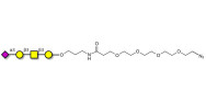 Stage-Specific Embryonic Antigen-4 tetraose (SSEA-4 tetraose) with terminal azide (Linker-N3 A)
