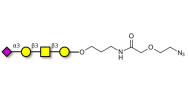 Stage-Specific Embryonic Antigen-4 tetraose (SSEA-4 tetraose) with terminal azide (Linker-N3 B)
