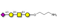 Stage-Specific Embryonic Antigen-4 tetraose (SSEA-4 tetraose) with free terminal amine (Linker-NH2 A)
