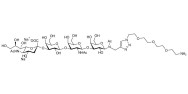 Stage-Specific Embryonic Antigen-4 tetraose (SSEA-4 tetraose) with free terminal amine (Linker-NH2 B)