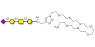 Stage-Specific Embryonic Antigen-4 tetraose (SSEA-4 tetraose) with free terminal amine (Linker-NH2 C)