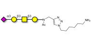 Stage-Specific Embryonic Antigen-4 tetraose (SSEA-4 tetraose) with free terminal amine (Linker-NH2 D)