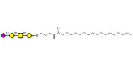 Stage-Specific Embryonic Antigen-4 tetraose (SSEA-4 tetraose) with stearic chain (Linker-STEA A)