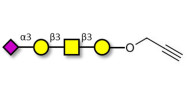 Stage-Specific Embryonic Antigen-4 tetraose (SSEA-4 tetraose) with terminal alkyne (Linker-CΞCH B)