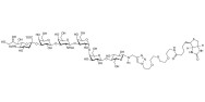 Stage-Specific Embryonic Antigen-4 hexaose (SSEA-4 hexaose) linked to biotin (Linker-BT A)