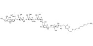 Stage-Specific Embryonic Antigen-4 hexaose (SSEA-4 hexaose) with free terminal amine (Linker-NH2 B)