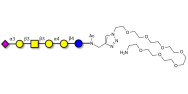 Stage-Specific Embryonic Antigen-4 hexaose (SSEA-4 hexaose) with free terminal amine (Linker-NH2 C)
