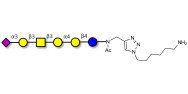 Stage-Specific Embryonic Antigen-4 hexaose (SSEA-4 hexaose) with free terminal amine (Linker-NH2 D)