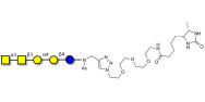 Forssman antigen pentaose linked to desthiobiotin (Linker-DBT-A)