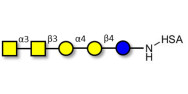 Forssman antigen pentaose grafted on HSA