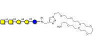 Forssman antigen pentaose with free terminal amine (Linker-NH2 C)
