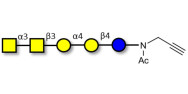 Forssman antigen pentaose with terminal alkyne (Linker-CΞCH A)