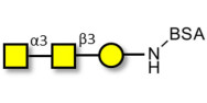 Forssman antigen triose grafted on BSA