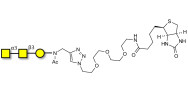 Forssman antigen triose linked to biotin (Linker-BT A)