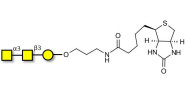 Forssman antigen triose linked to biotin (Linker-BT B)