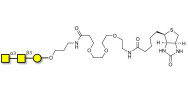 Forssman antigen triose linked to biotin (Linker-BT C)