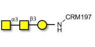 Forssman antigen triose grafted on CRM197