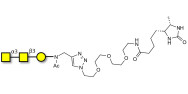 Forssman antigen triose linked to desthiobiotin (Linker-DBT-A)