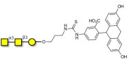 Forssman antigen triose linked to fluorescein (Linker-FLUO A)