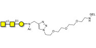 Forssman antigen triose grafted on gel for affinity chromatography (Linker-GEL A)