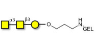 Forssman antigen triose grafted on gel for affinity chromatography (Linker-GEL B)