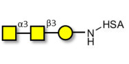 Forssman antigen triose grafted on HSA