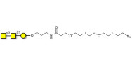 Forssman antigen triose with terminal azide (Linker-N3 A)
