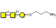 Forssman antigen triose with free terminal amine (Linker-NH2 A)