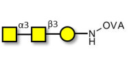 Forssman antigen triose grafted on OVA