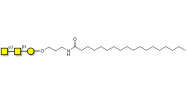 Forssman antigen triose with stearic chain (Linker-STEA A)