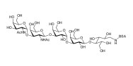 Isoforssman antigen pentaose grafted on BSA