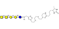 Isoforssman antigen pentaose linked to desthiobiotin (Linker-DBT-A)