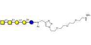 Isoforssman antigen pentaose grafted on gel for affinity chromatography (Linker-GEL A)