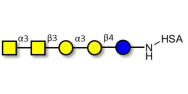 Isoforssman antigen pentaose grafted on HSA