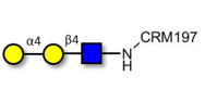 Globotriose analogue type 2 grafted on CRM197