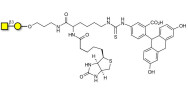 Gb4 Globoside terminal linked to biotin and fluorescein (Linker-BT-FLUO A)