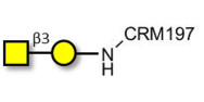Gb4 Globoside terminal grafted on CRM197