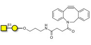 Gb4 Globoside terminal with DBCO (Linker-DBCO A)