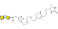 Gb4 Globoside terminal linked to desthiobiotin (Linker-DBT-A)