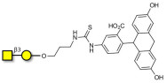 Gb4 Globoside terminal linked to fluorescein (Linker-FLUO A)