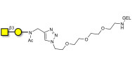 Gb4 Globoside terminal grafted on gel for affinity chromatography (Linker-GEL A)