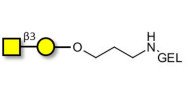Gb4 Globoside terminal grafted on gel for affinity chromatography (Linker-GEL B)