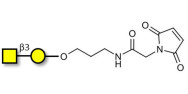 Gb4 Globoside terminal linked to maleimide (Linker-MAL A)