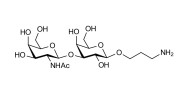 Gb4 Globoside terminal with free terminal amine (Linker-NH2 A)