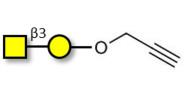 Gb4 Globoside terminal with terminal alkyne (Linker-CΞCH B)
