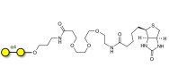 α1-4 galactobiose linked to biotin (Linker-BT C)