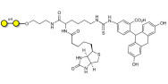 α1-4 galactobiose linked to biotin and fluorescein (Linker-BT-FLUO A)