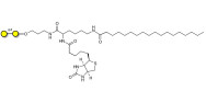 α1-4 galactobiose linked to biotin and stearic chain (Linker-BT-STEA A)