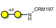 α1-4 galactobiose grafted on CRM197